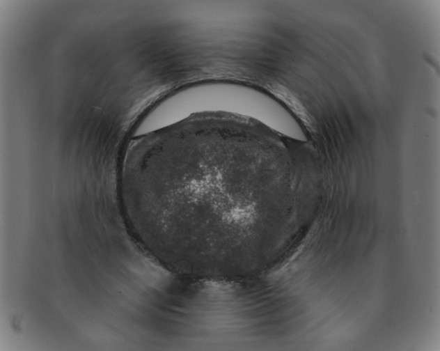 X0000091360442200708241314