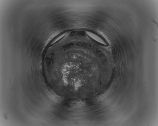X0000091360443200708241314