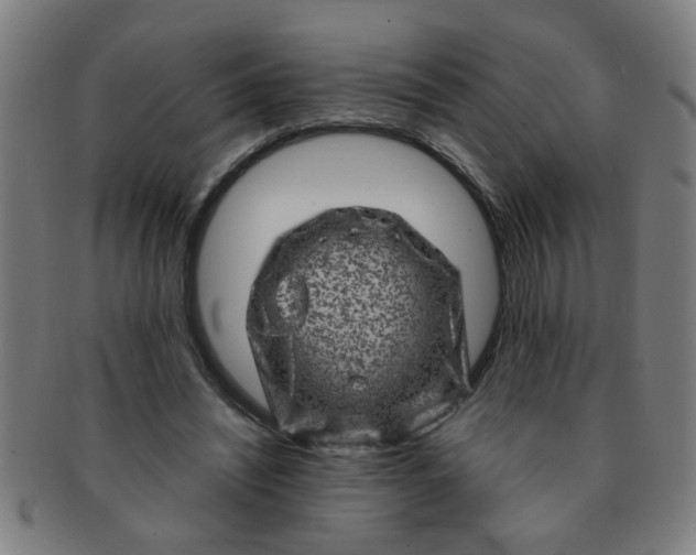 X0000091360444200708241314
