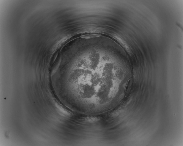X0000091360445200708241314