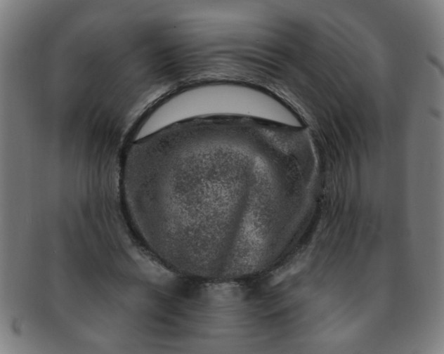 X0000091360446200708241314