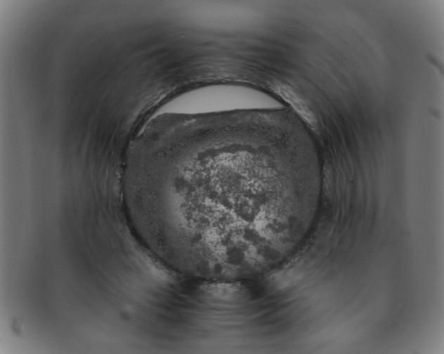 X0000091360449200708241314