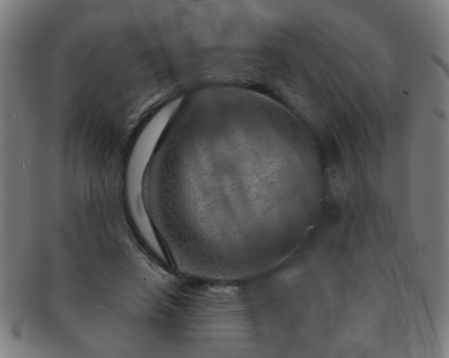 X0000091360450200708241314