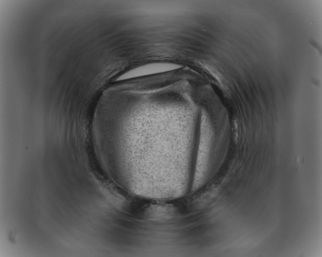 X0000091360455200708241314