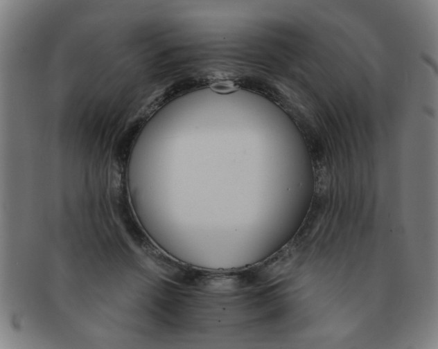 X0000091360456200708241314