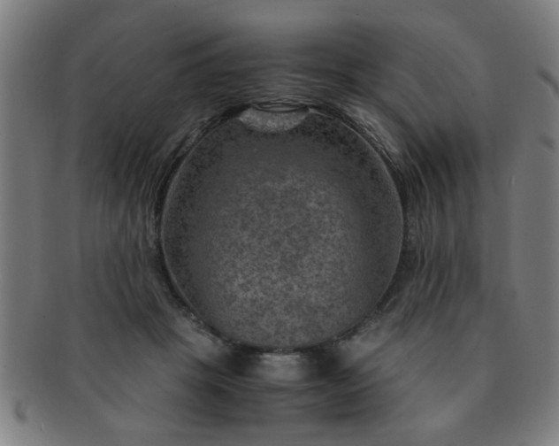 X0000091360457200708241314
