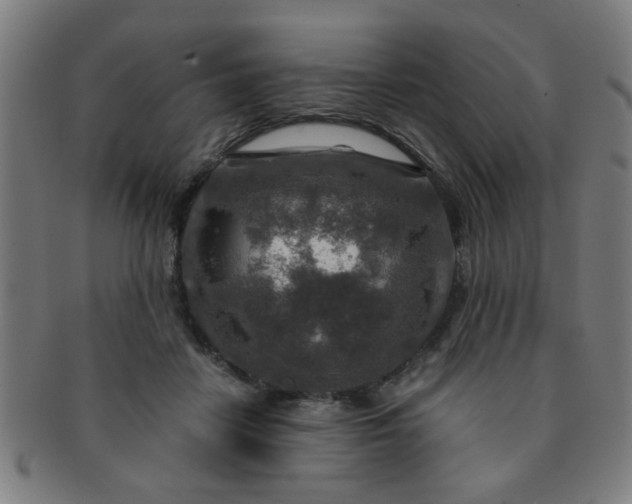 X0000091360458200708241314