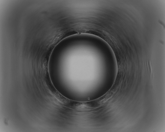 X0000091360460200708241314