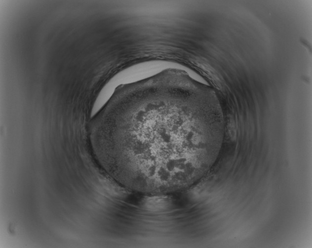 X0000091360461200708241314