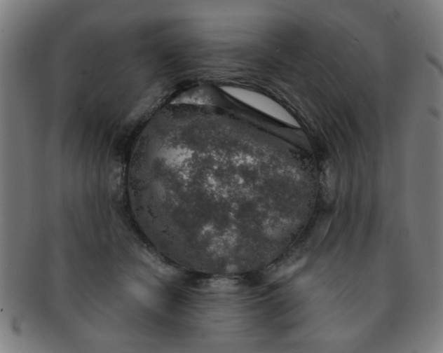 X0000091360462200708241314