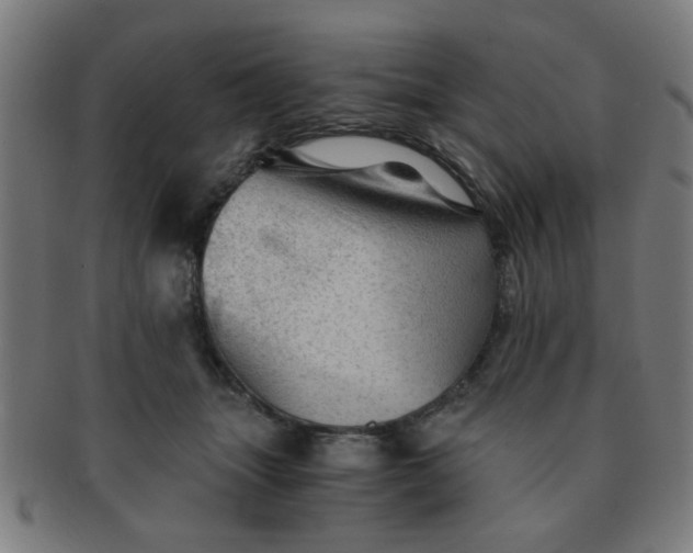 X0000091360463200708241314