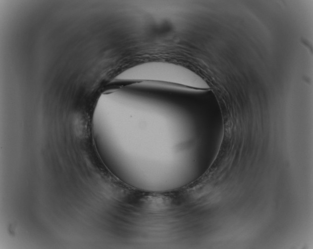 X0000091360464200708241314