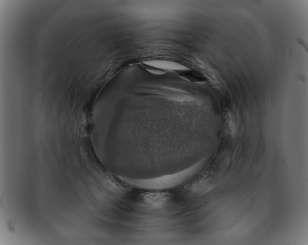 X0000091360465200708241314