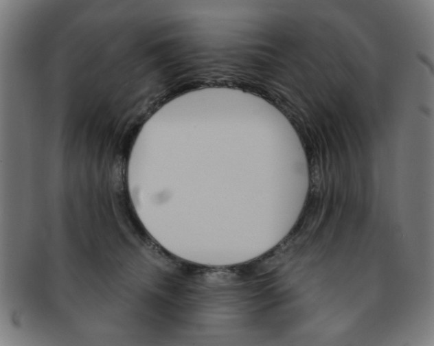 X0000091360468200708241314