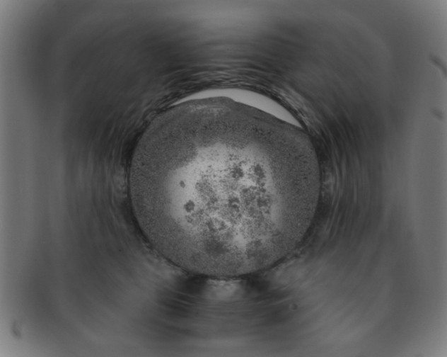 X0000091360469200708241314