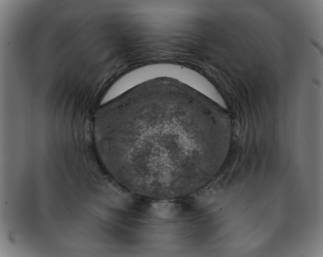 X0000091360470200708241314