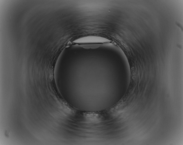 X0000091360471200708241314