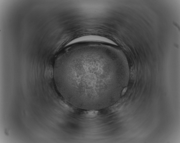 X0000091360474200708241314