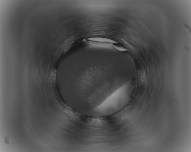 X0000091360475200708241314