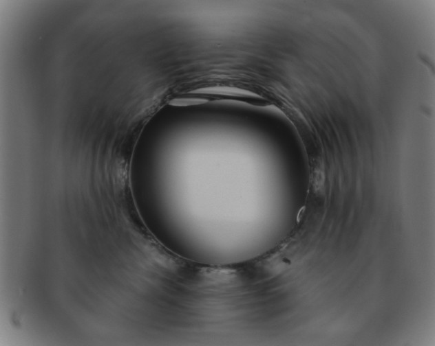 X0000091360476200708241314