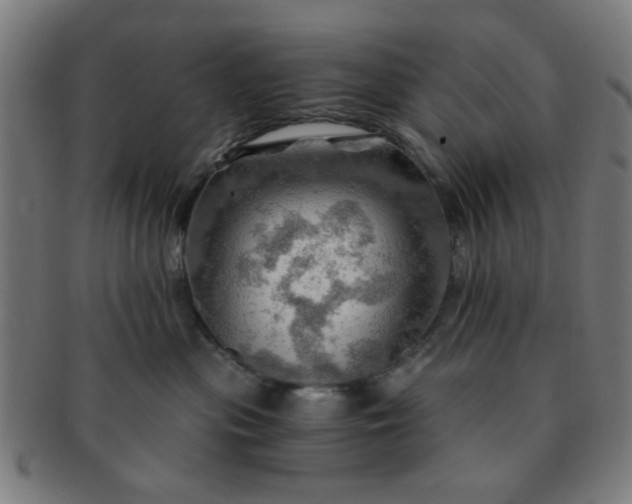 X0000091360477200708241314