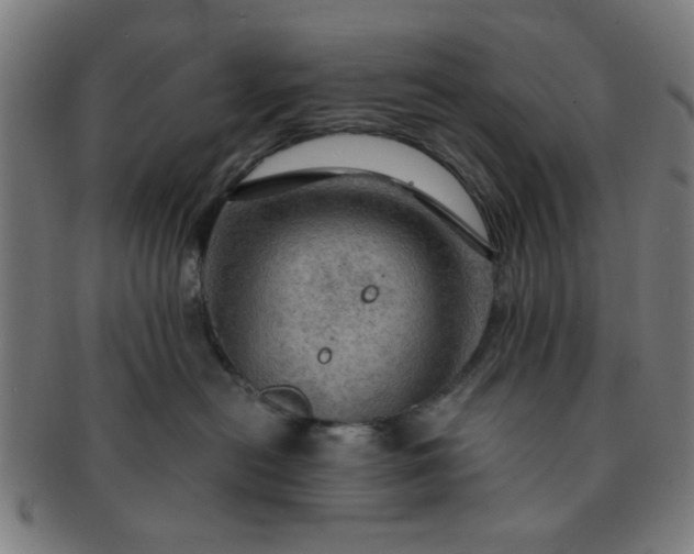 X0000091360478200708241314