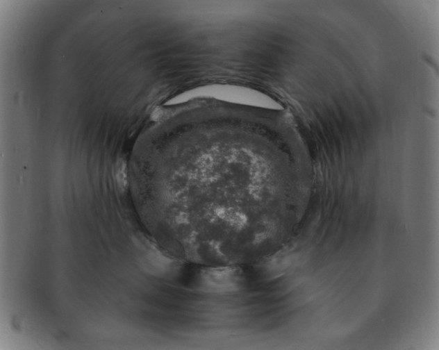 X0000091360479200708241314