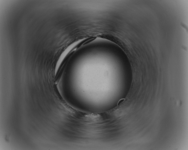 X0000091360480200708241314