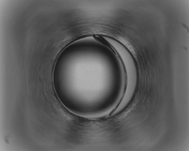 X0000091360481200708241314