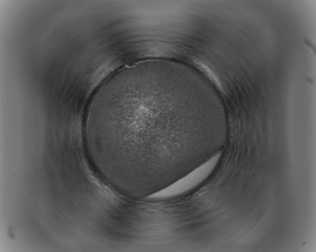 X0000091360482200708241314