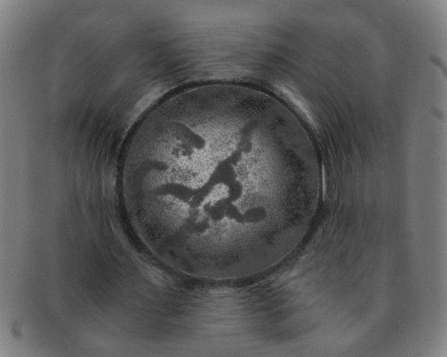 X0000091360483200708241314
