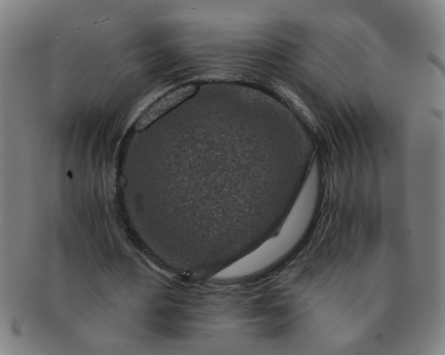 X0000091360484200708241314