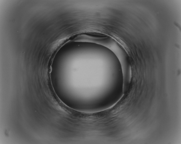 X0000091360485200708241314