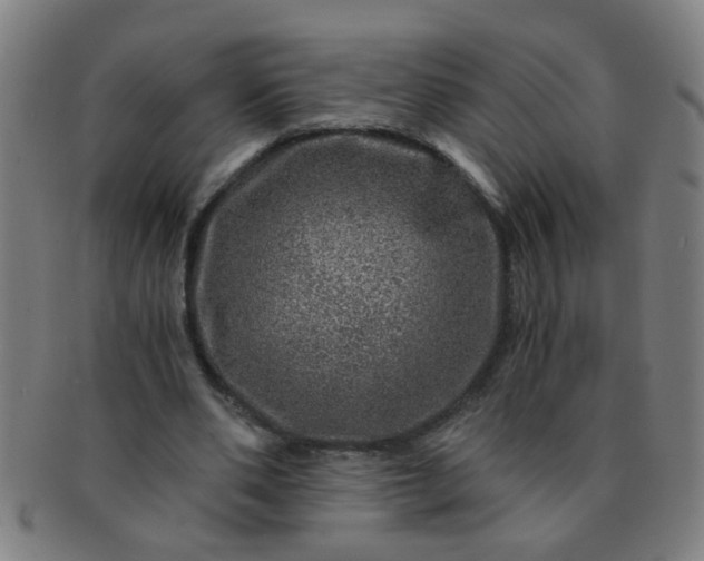 X0000091360486200708241314