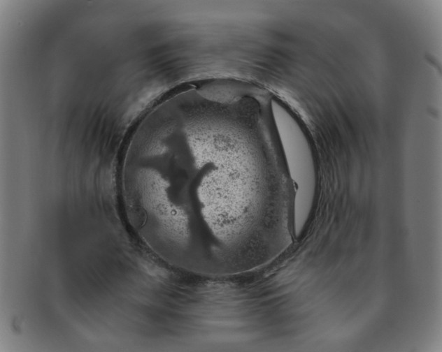 X0000091360487200708241314