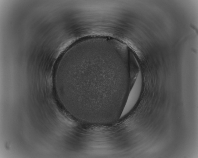 X0000091360488200708241314