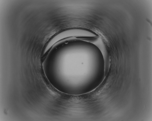 X0000091360489200708241314