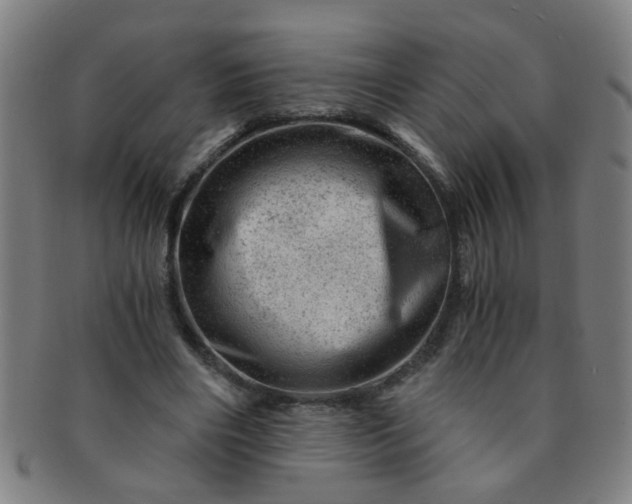 X0000091360490200708241314