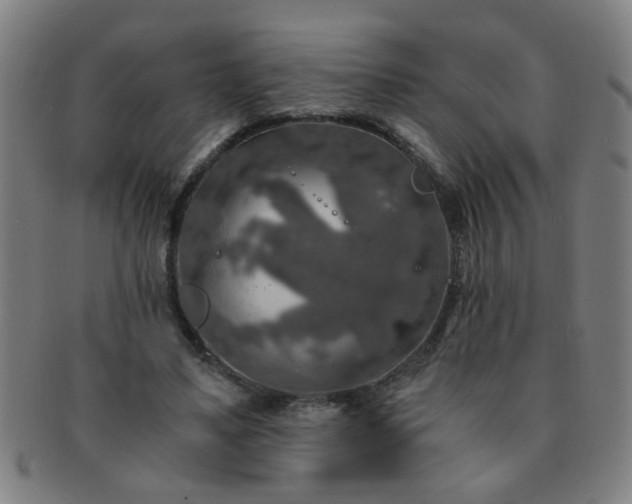 X0000091360491200708241314