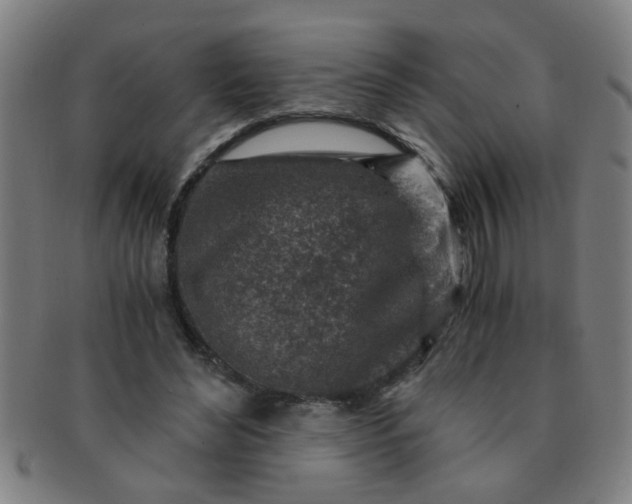 X0000091360492200708241314