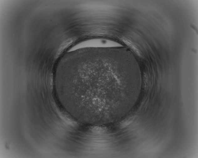 X0000091360494200708241313
