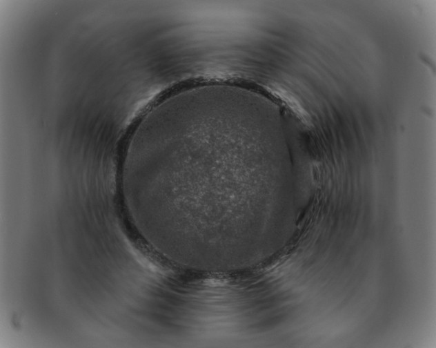 X0000091360496200708241313