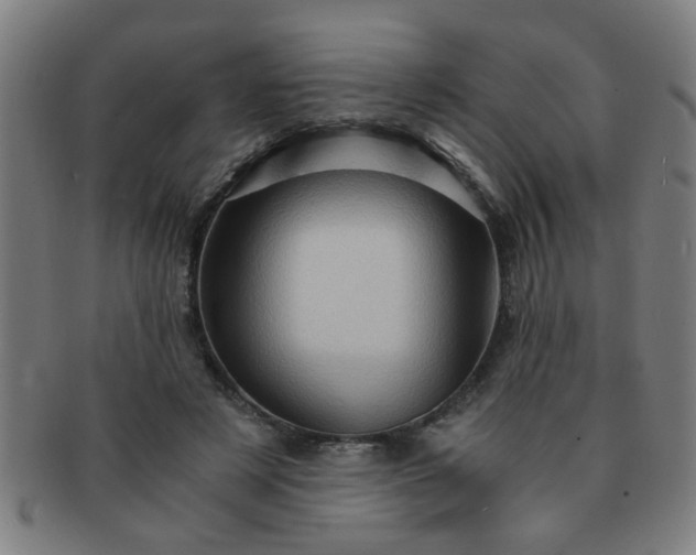 X0000091360497200708241313