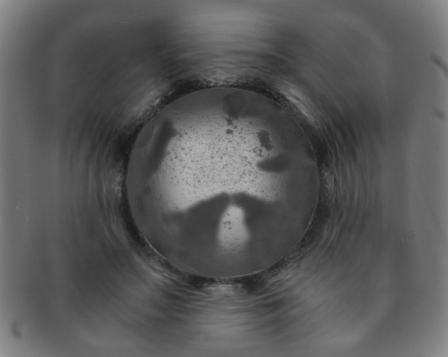 X0000091360499200708241313