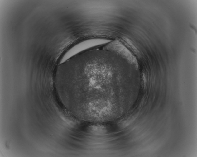 X0000091360500200708241313
