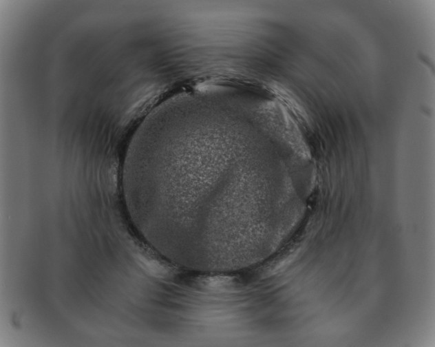 X0000091360501200708241313