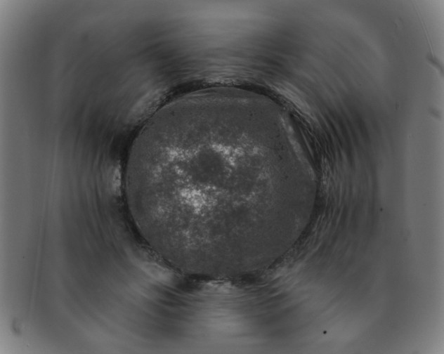X0000091360502200708241313