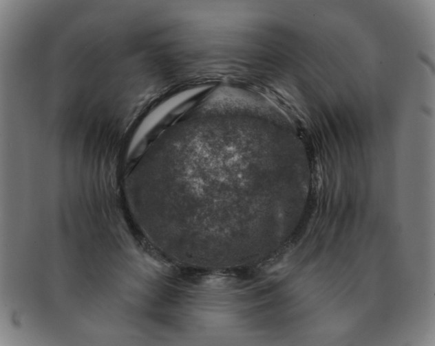 X0000091360504200708241313