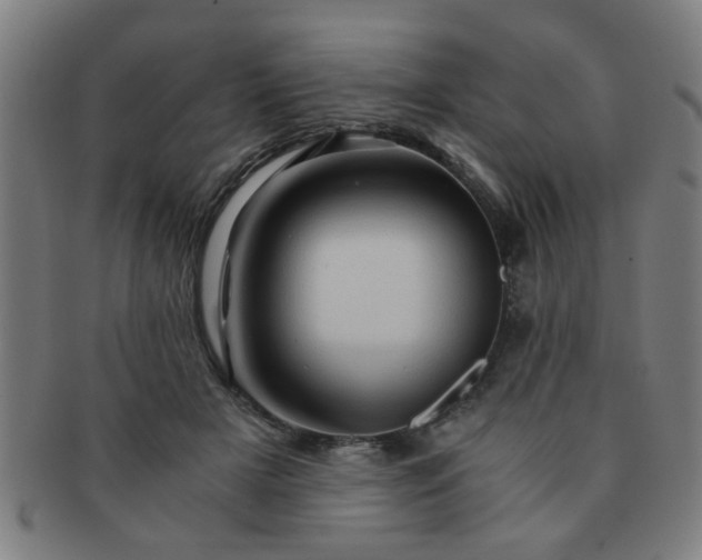 X0000091360505200708241313