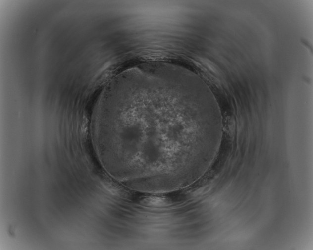 X0000091360507200708241313